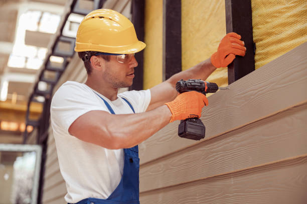 Best Vinyl Siding Installation  in Bath, MI