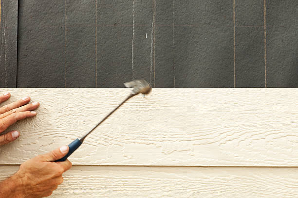 Best Custom Siding Design  in Bath, MI